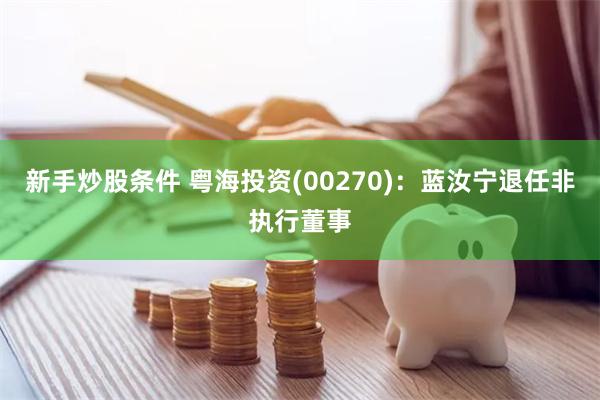 新手炒股条件 粤海投资(00270)：蓝汝宁退任非执行董事