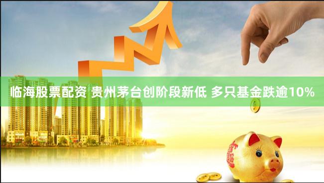 临海股票配资 贵州茅台创阶段新低 多只基金跌逾10%